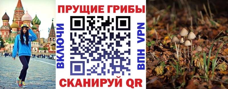 Галлюциногенные грибы прущие грибы Ачхой-Мартан