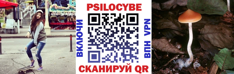 MEGA вход  Ачхой-Мартан  Псилоцибиновые грибы Psilocybine cubensis  цена  